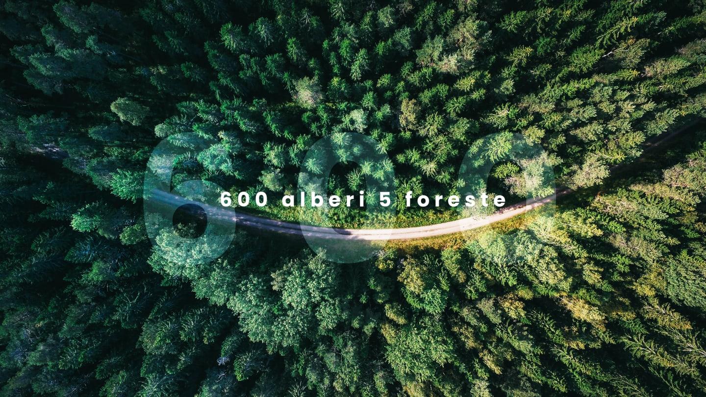 La foresta del Turismo Italiano by IDEE PER VIAGGIARE