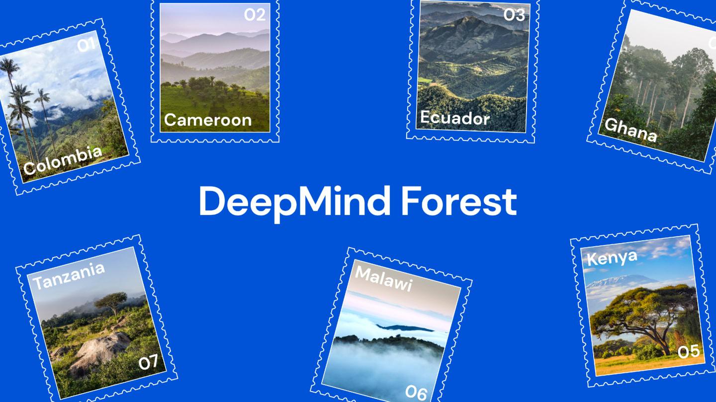 DeepMind Forest