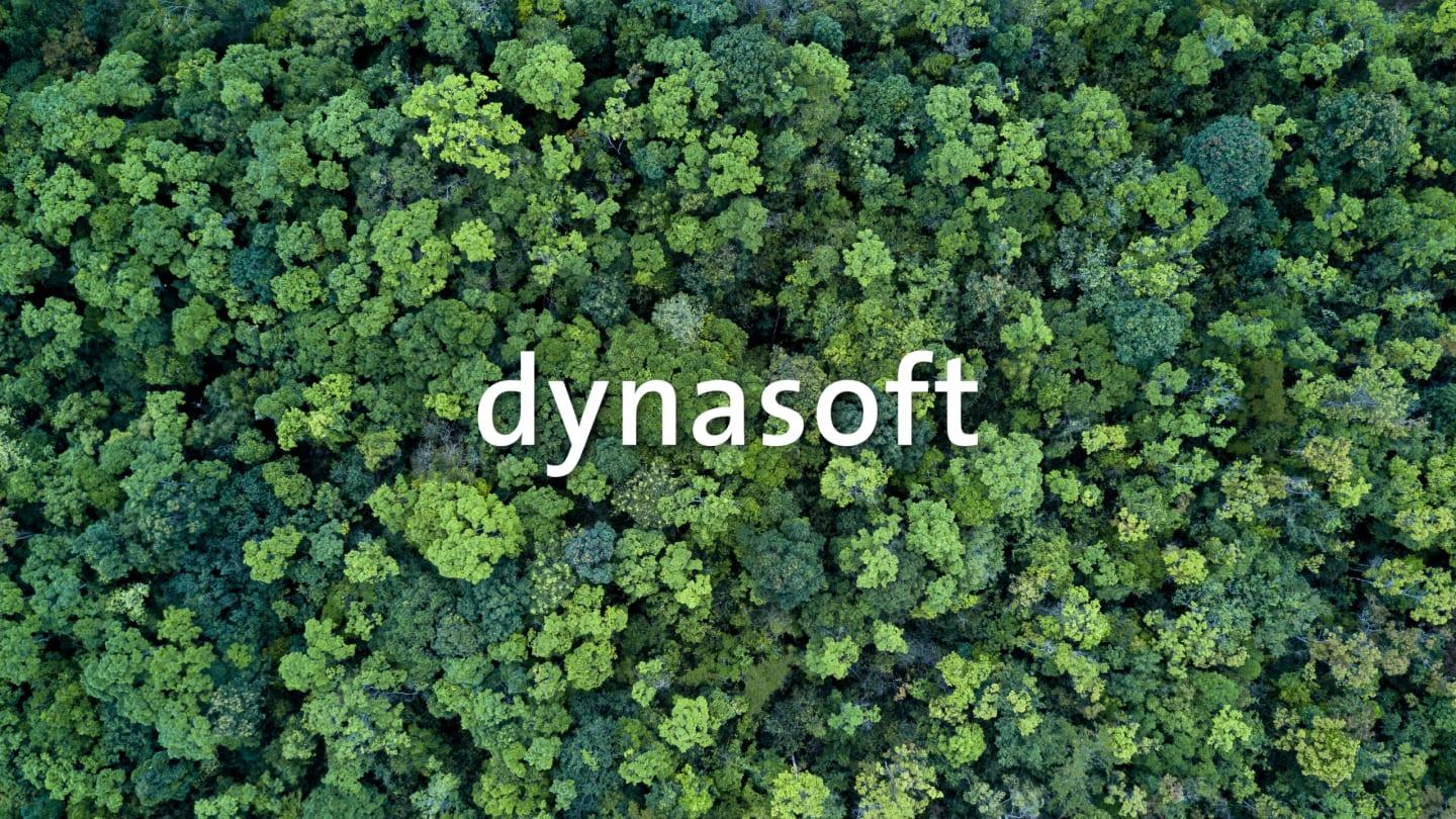 Dynasoft-Wald