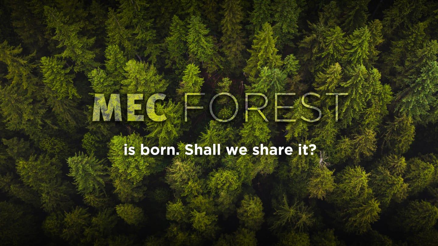 MEC-Forest