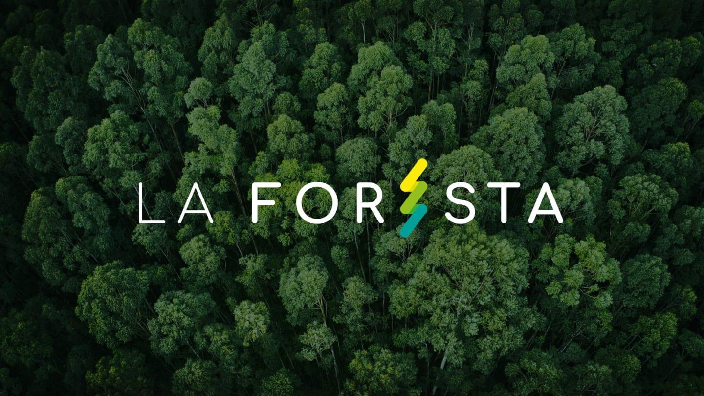 La Foresta