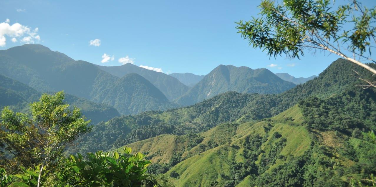 La foresta de Il Volo del Mattino