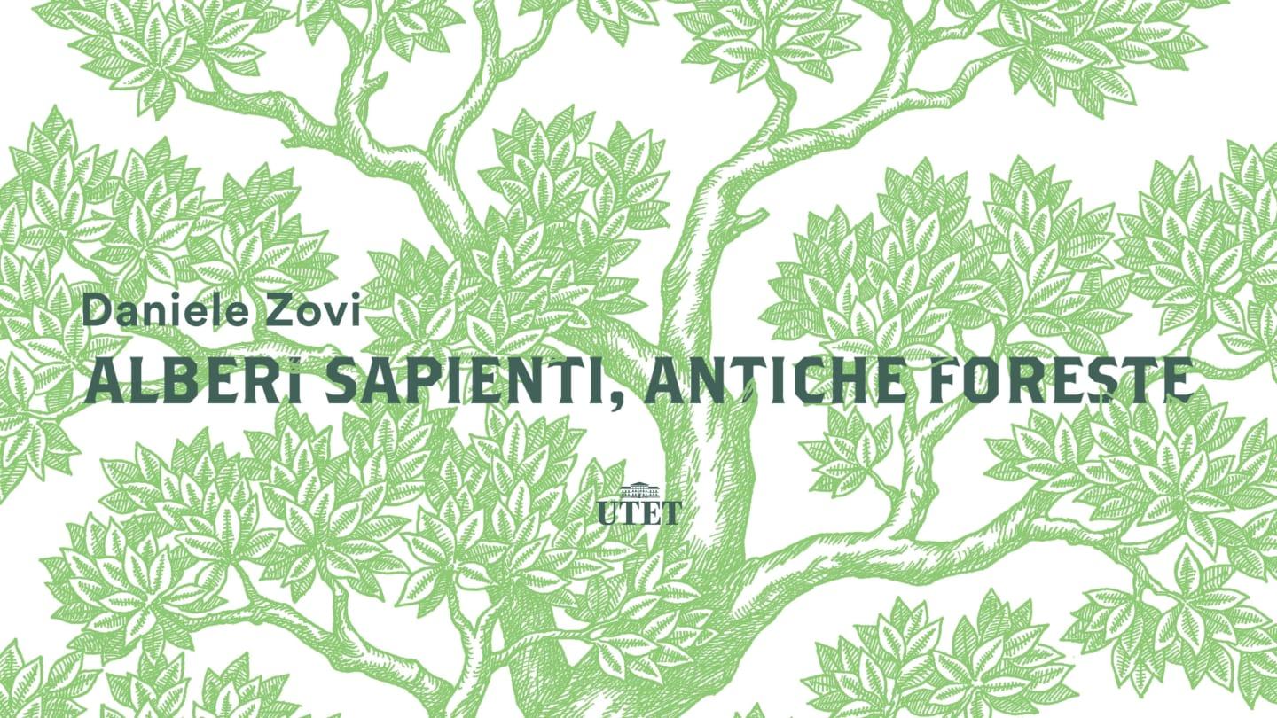 Alberi sapienti, antiche foreste�