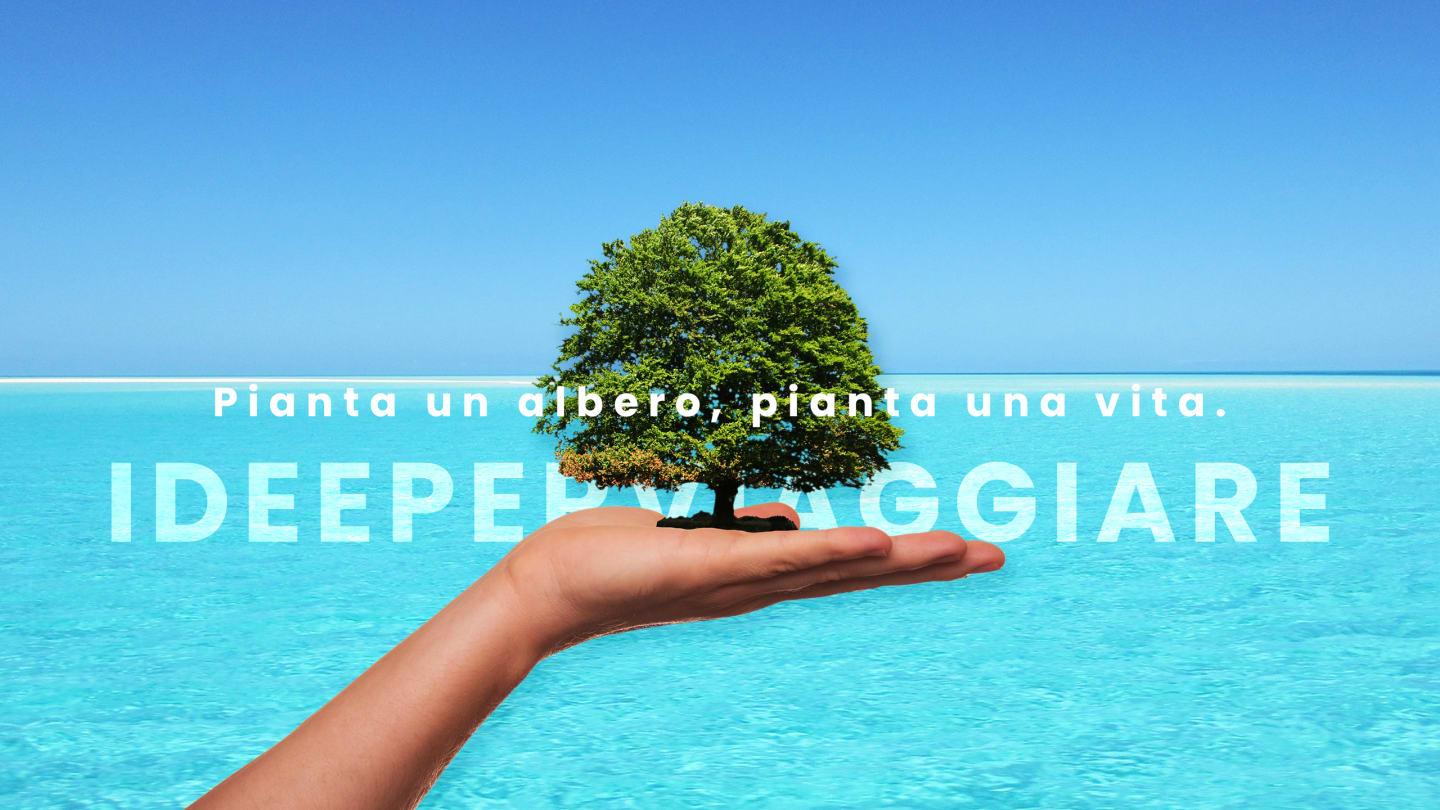 La foresta dei Viaggiatori by IDEE PER VIAGGIARE