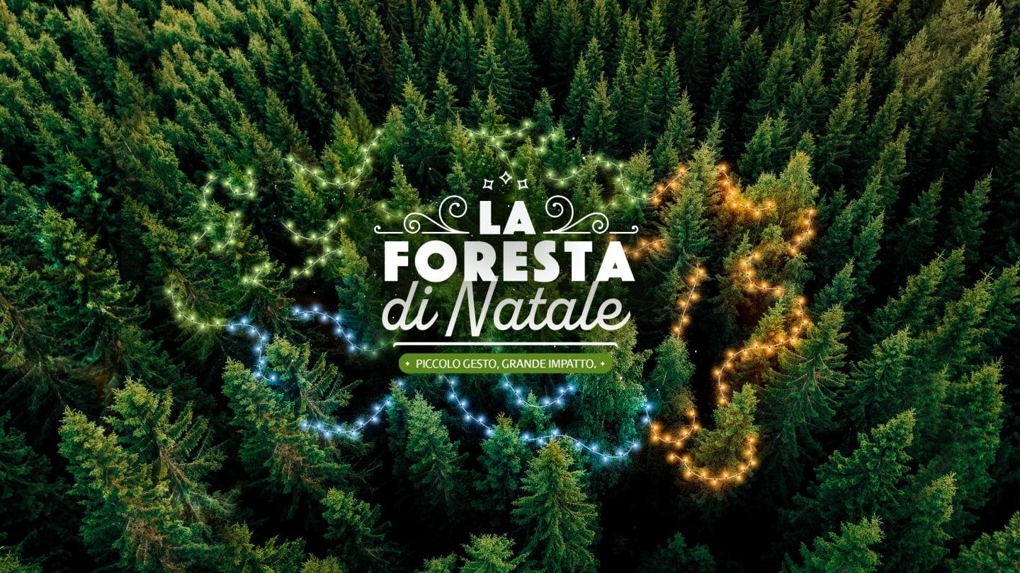 La prima foresta di Iberdrola