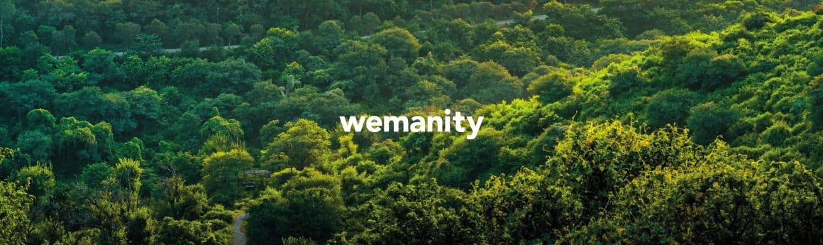 The Wemanity Forest