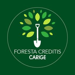 La Foresta di Creditis-Banca Carige