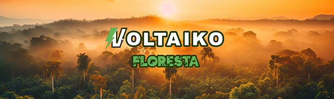 Voltaiko Floresta