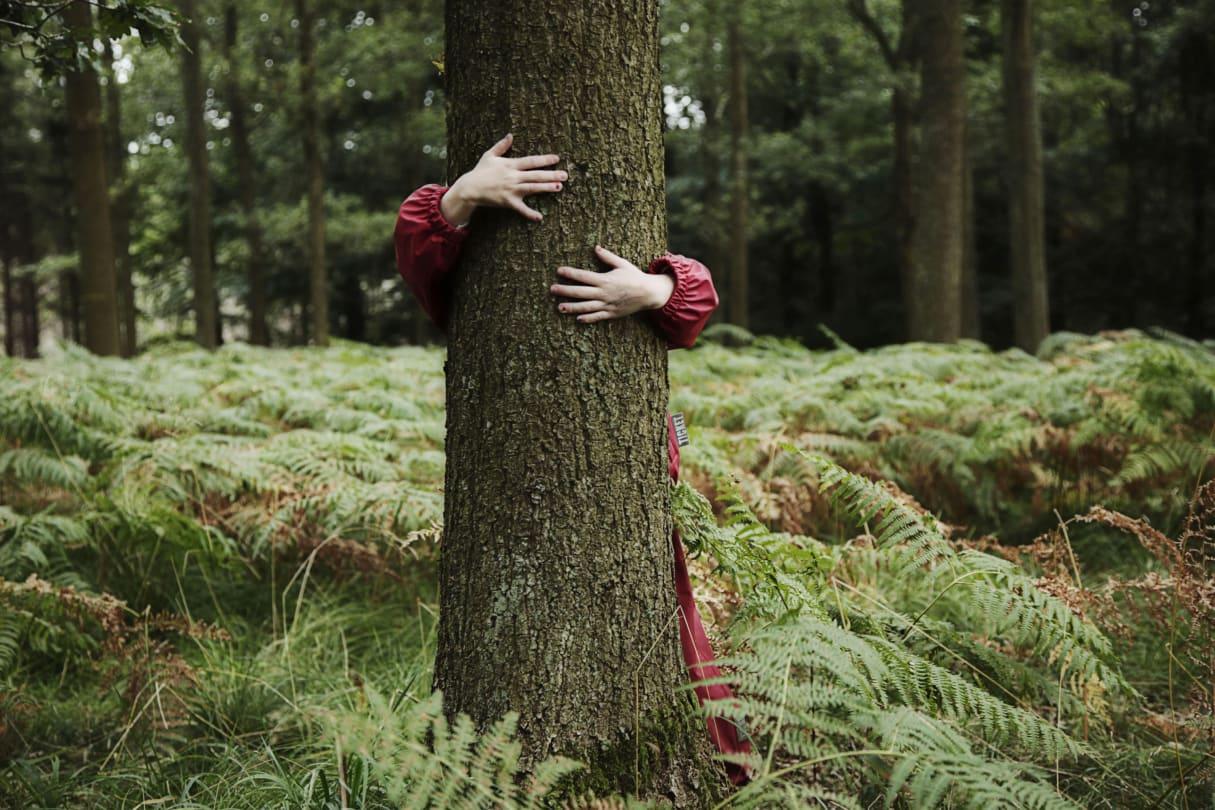 La Forêt enchantée CC