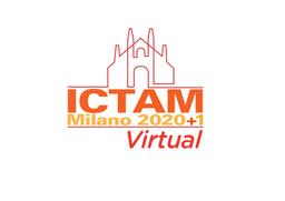 ICTAM 2020+1 Global Forest