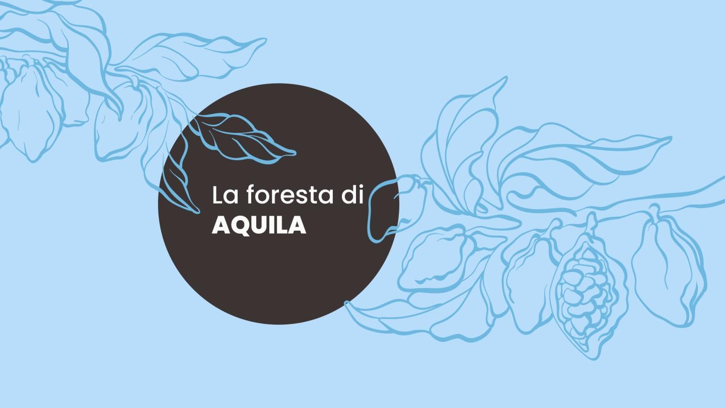 LA FORESTA DI AQUILA