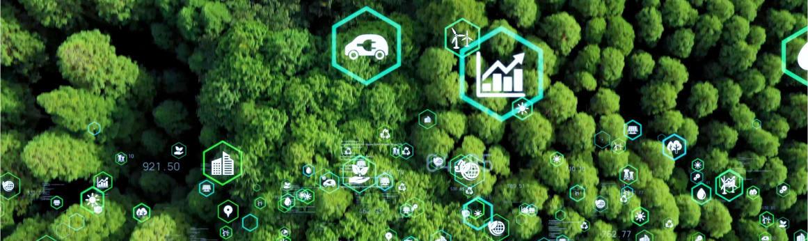 Morgan Advanced Materials Forest