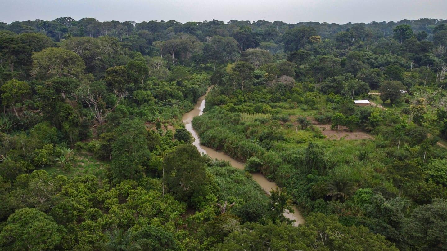 Canada Radiopharmaceutical Forest