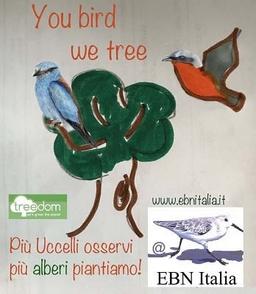 You bird we tree