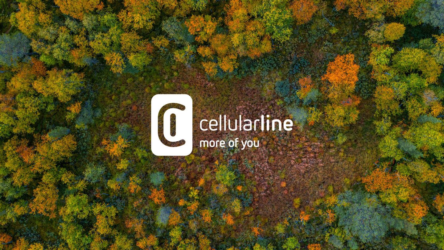 SEED the FUTURE – The Cellularline forest