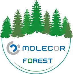 Molecor Forest