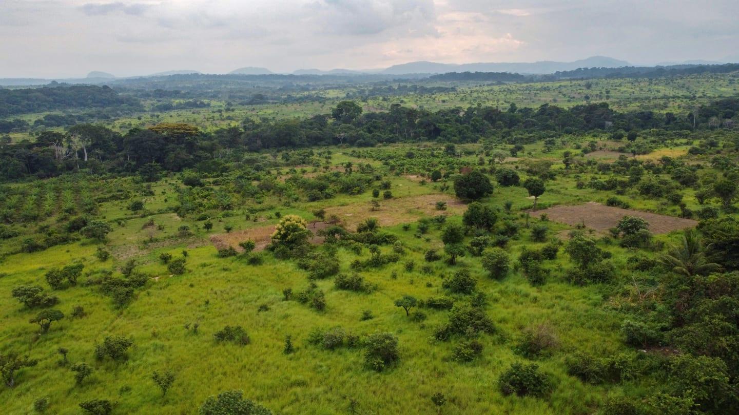 France Radiopharmaceutical Forest