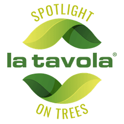 La Tavola - Spotlight on trees