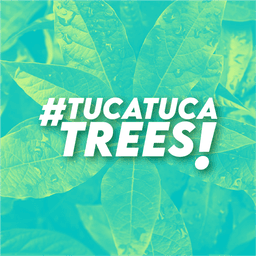 Tuca Tuca Forest