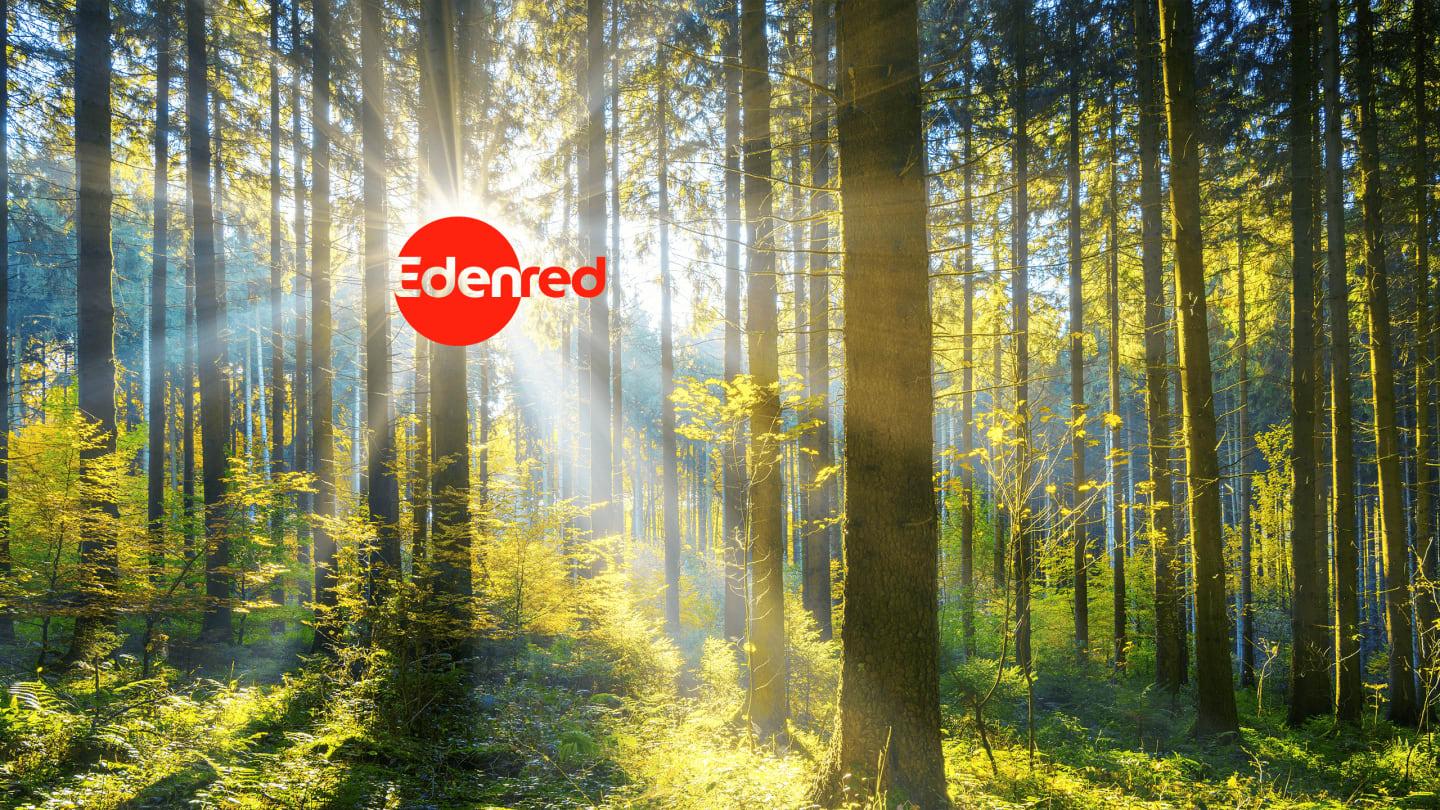 La foresta di Edenred Italia