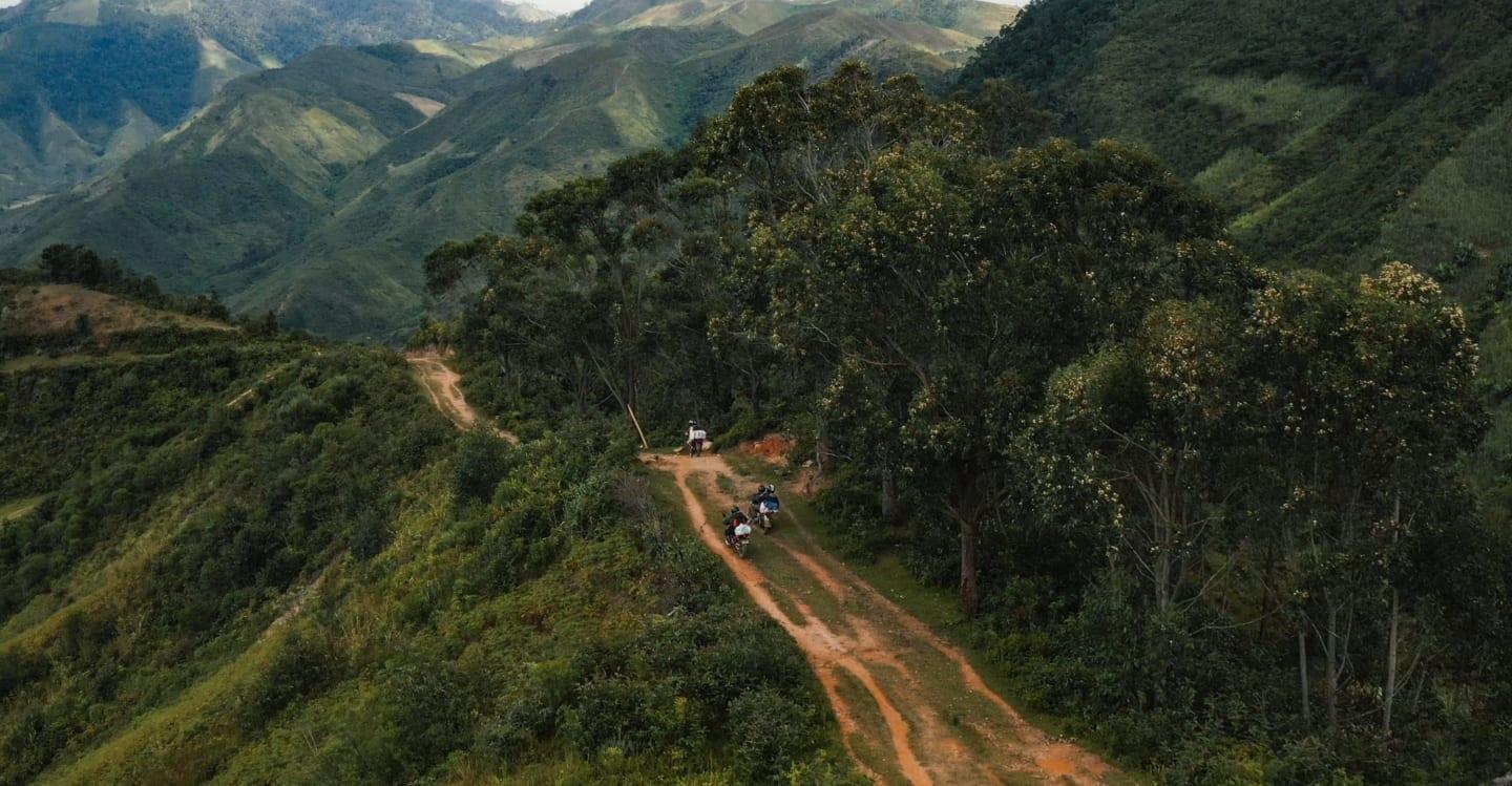 Poland Radiopharmaceutical Forest