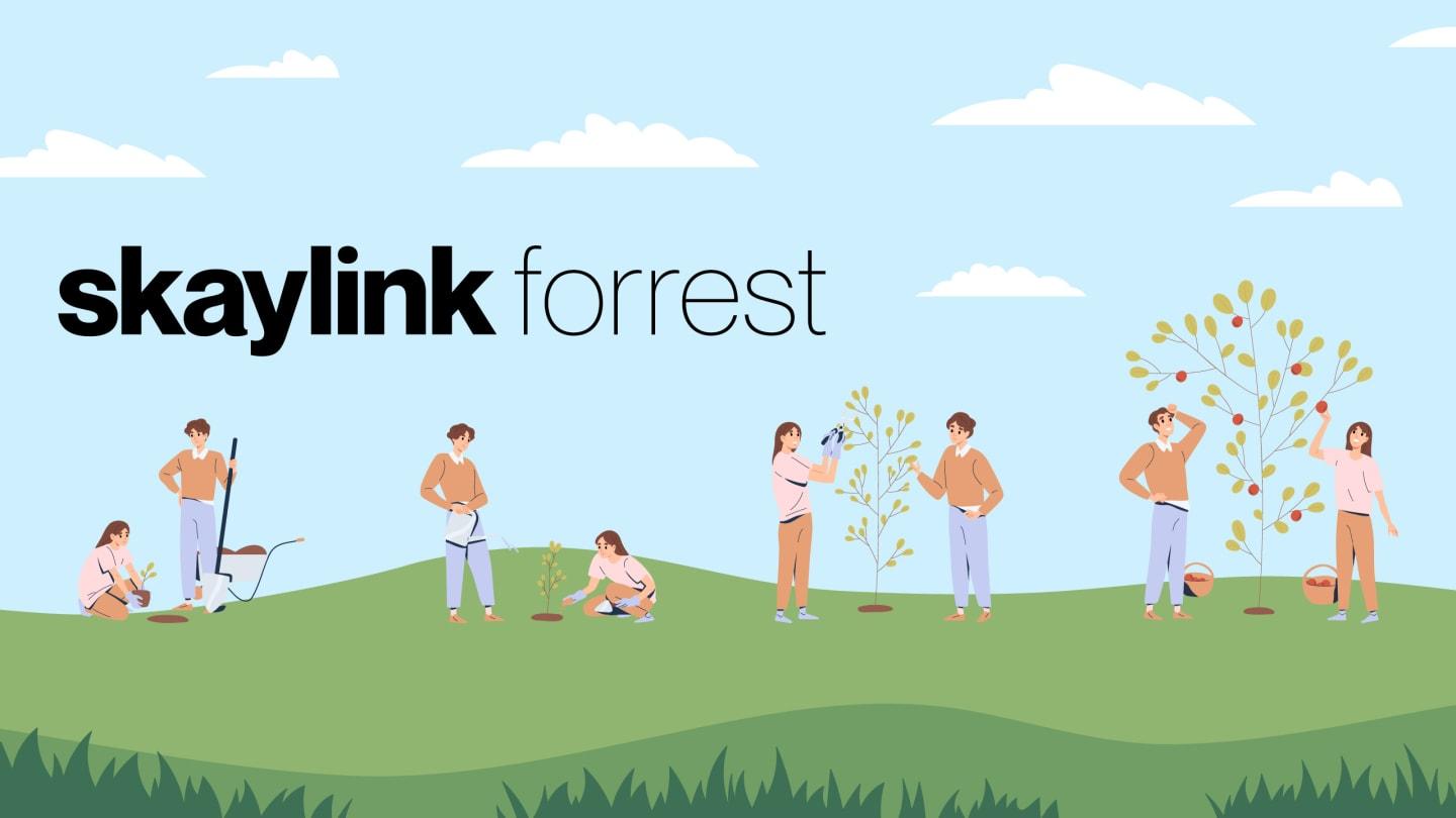 Skaylink Forest