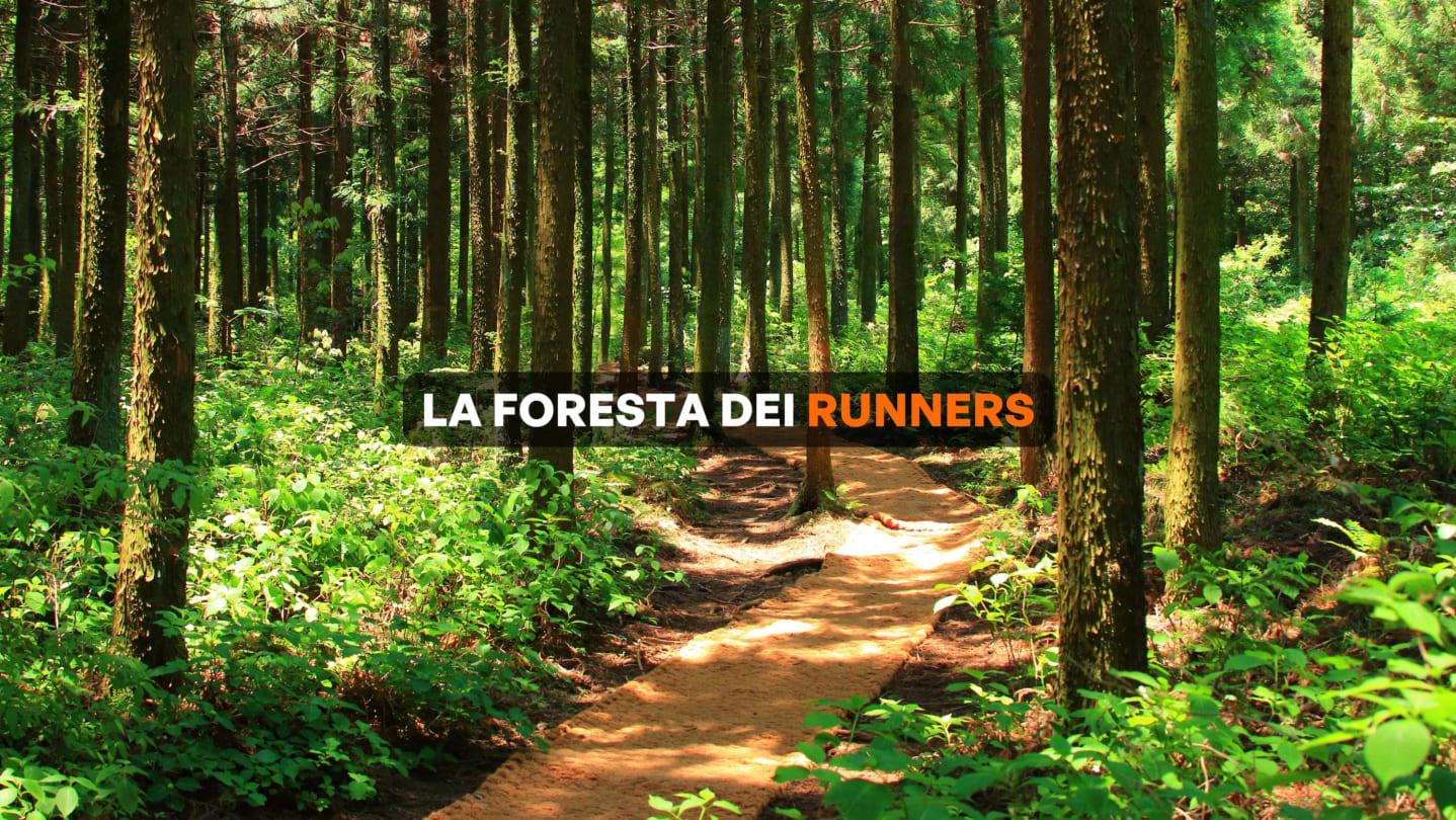 Esco a correre, la foresta dei runners