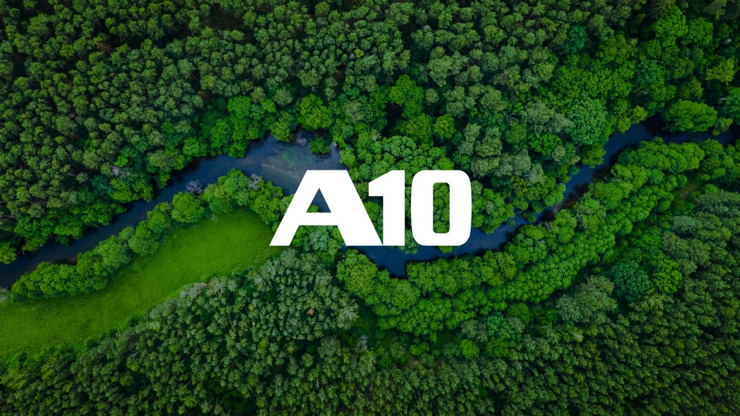 A10 Networks Forest