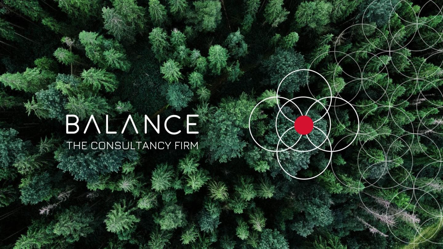 Balance Consulting Forest