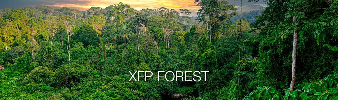 The XFP forest