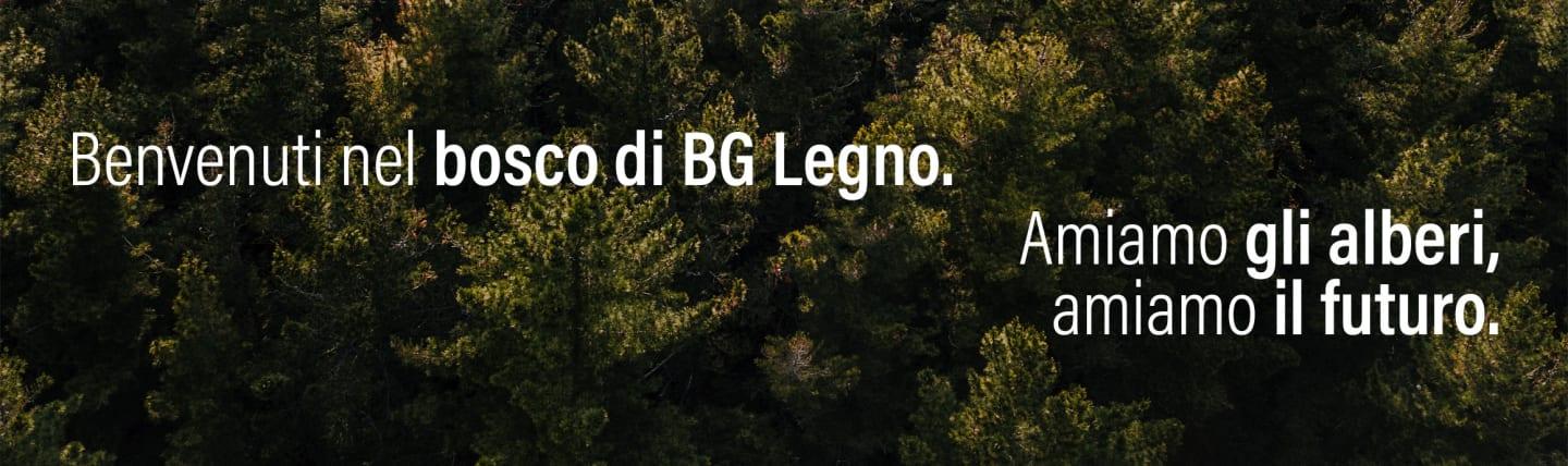 Il Bosco di BG Legno