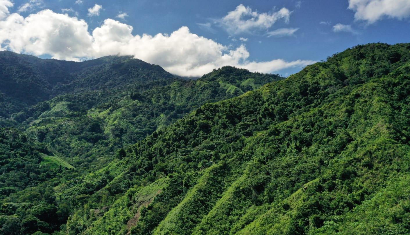 Spain Radiopharmaceutical Forest