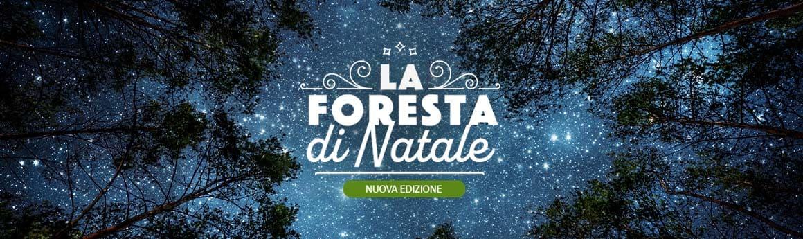 La foresta di Natale