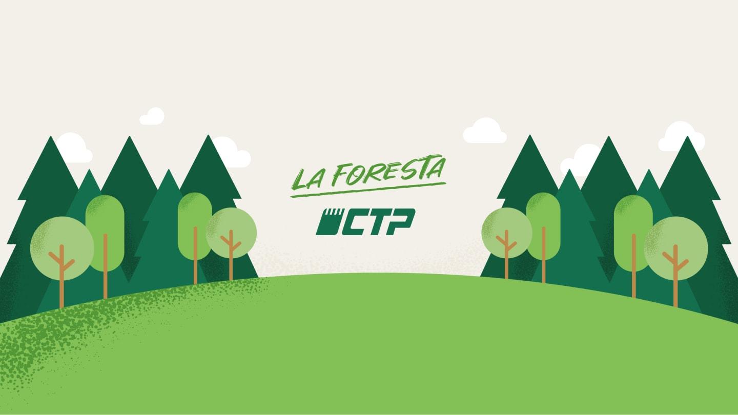 La foresta CTP