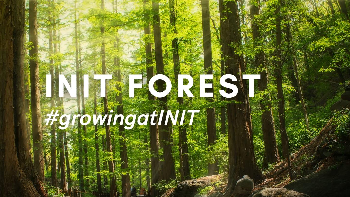 INIT Forest