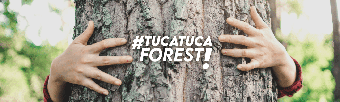 Tuca Tuca Forest