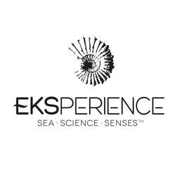 EKSPERIENCE