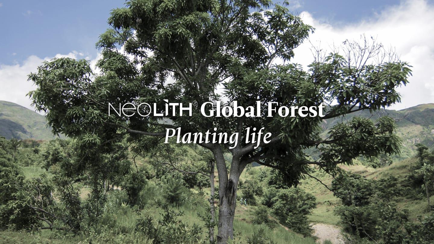 Neolith® Forest