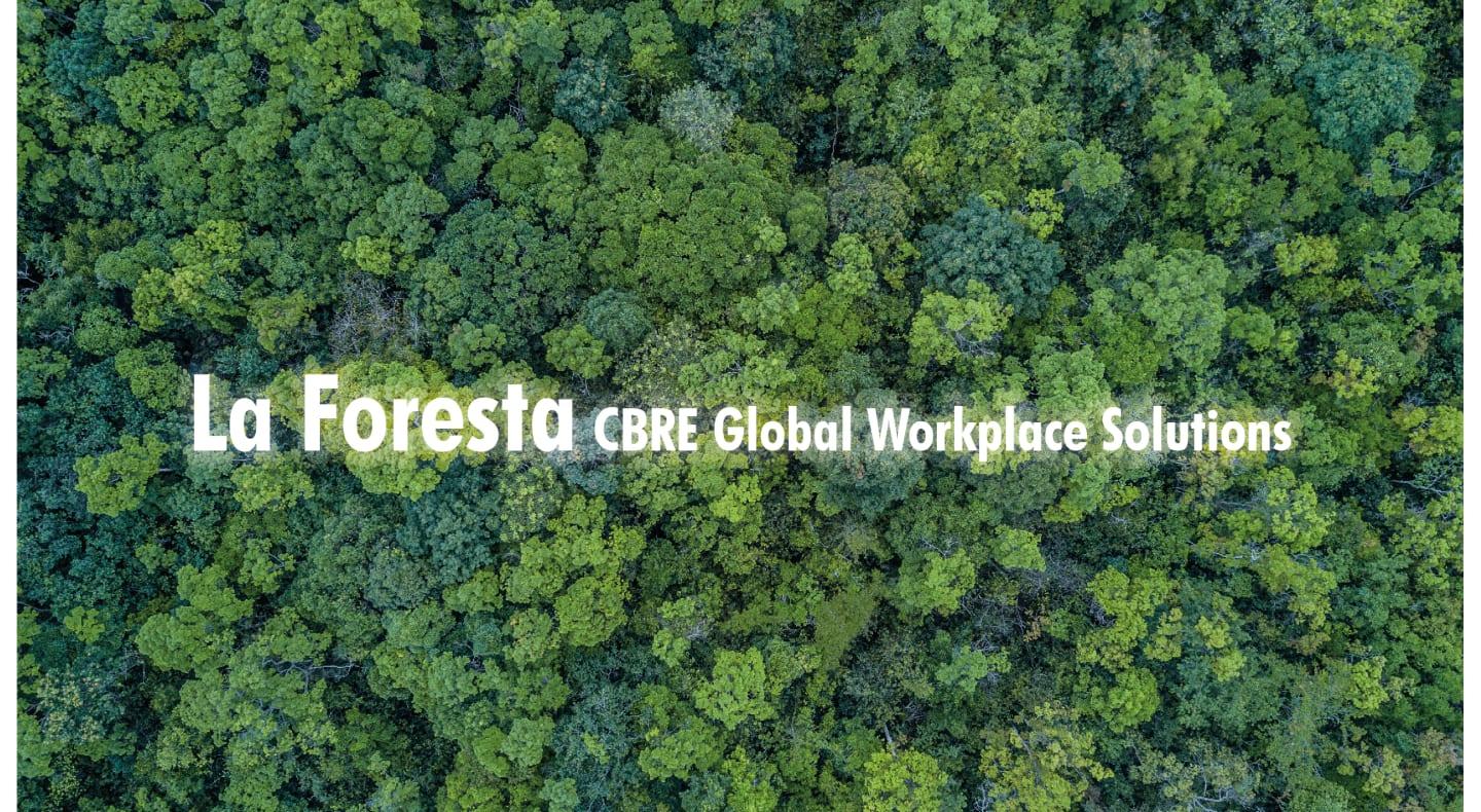 La Foresta CBRE GWS Italia – Un albero per i nostri Clienti