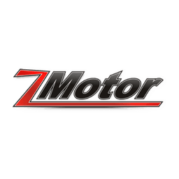 Z Motor