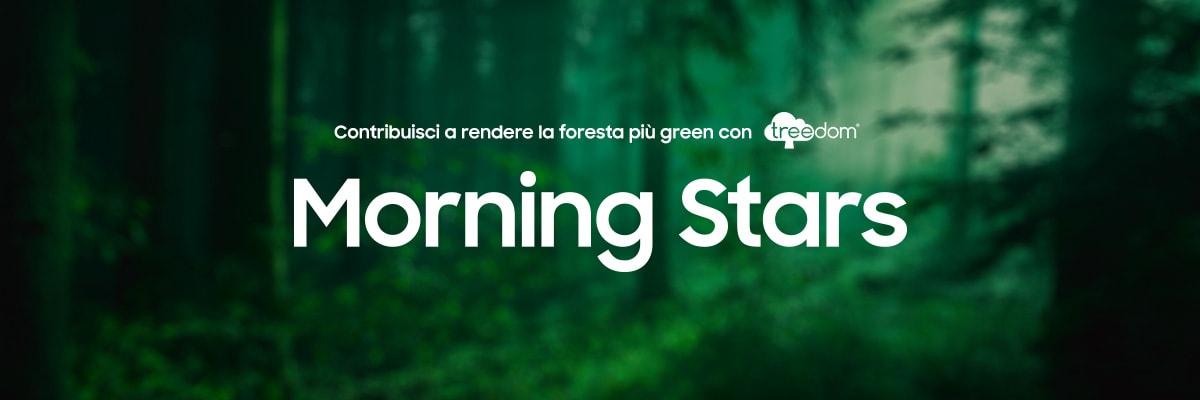 Foresta di Morning Stars