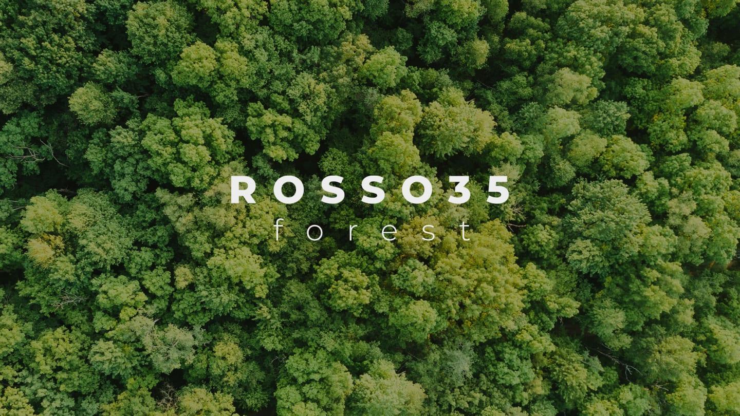 The Rosso35 forest