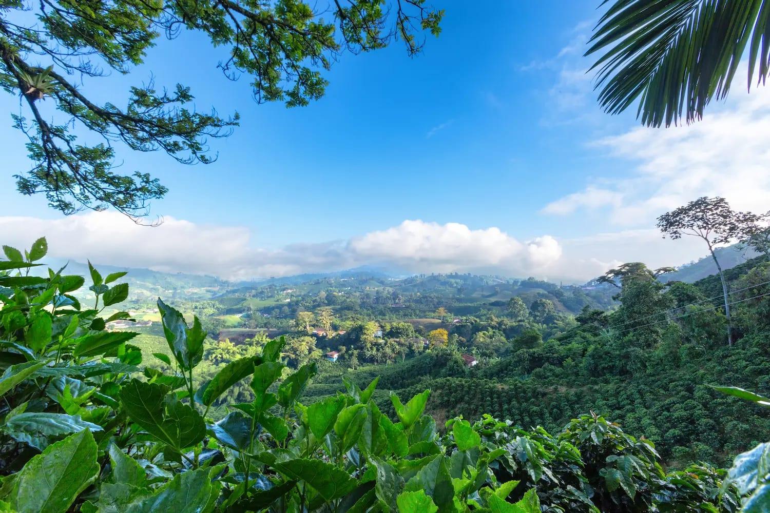 Project country image