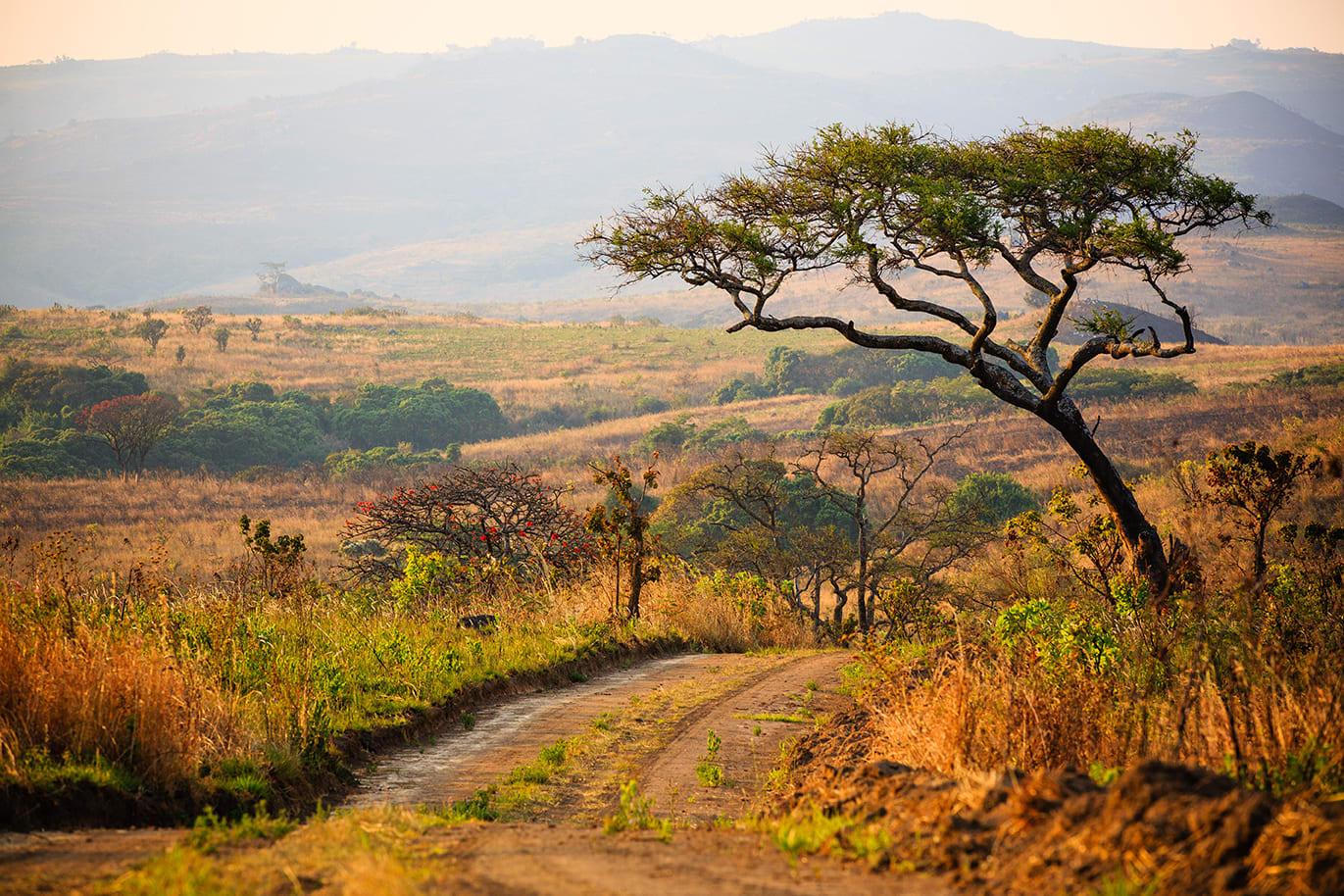 Project country image