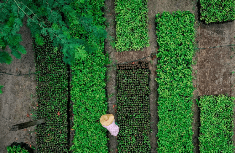 Economic Development