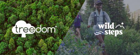 Team building in nature - powered by WildSteps