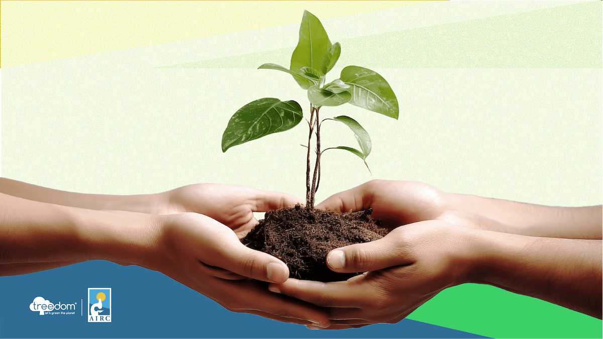 Pianta un albero, coltiva la ricerca