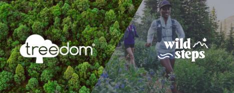 Team building in nature - powered by WildSteps