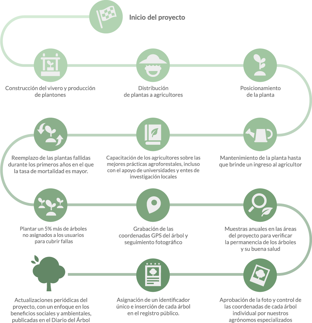 El modelo Treedom y su impacto social y medioambiental